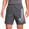 Nike Academy23 Shorts