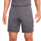 Nike Dri-FIT Academie Shorts