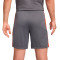 Nike Dri-FIT Academie Shorts