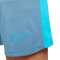 Calções Nike Dri-Fit Academy 23