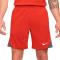 Nike Dri-Fit Strike Shorts