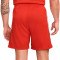 Nike Dri-Fit Strike Shorts