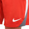 Nike Dri-Fit Strike Shorts