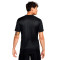 Nike Dri-Fit Academy Shirt