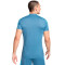 Nike Academie Dri-FIT Shirt