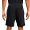 Nike Swoosh Air Shorts