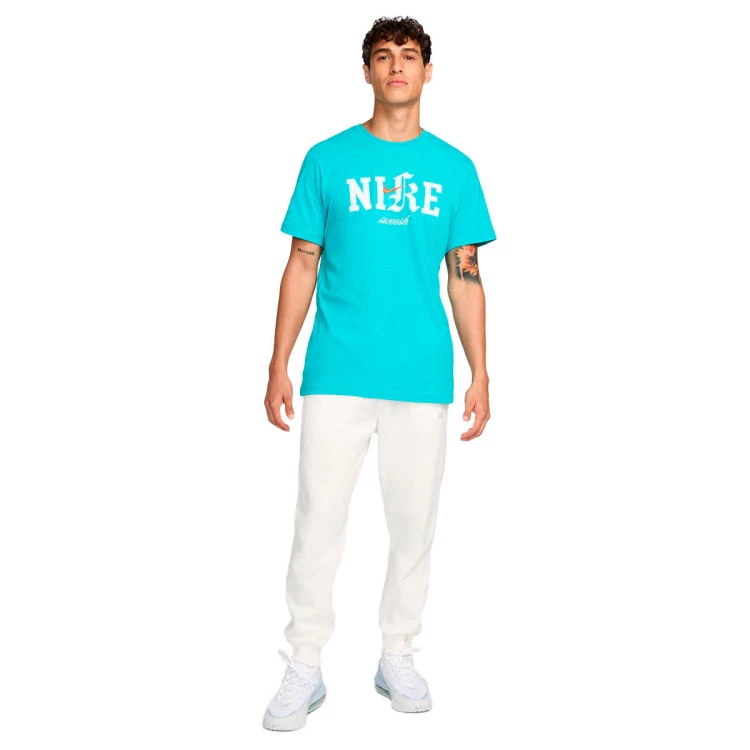 camiseta-nike-hbr-dusty-cactus-4