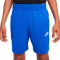 Nike Kids Club Knit Shorts