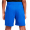 Nike Kids Club Knit  Shorts