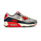 Tenis Nike Air Max 90