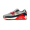 Tenis Nike Air Max 90