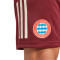 Calções adidas FC Bayern Training 2024-2025