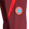 adidas FC Bayern Training 2024-2025 Trousers