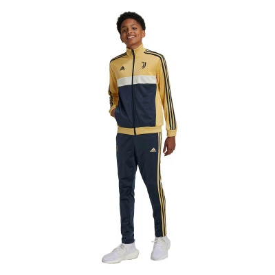 Kids Juventus Fanswear 2024-2025 Tracksuit