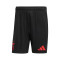 adidas SLB Benfica 2024-2025 Away Kit Shorts