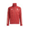 adidas FC Bayern 2024-2025 Fanswear Jacke