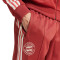 Pantalón largo adidas FC Bayern Fanswear 2024-2025