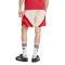 adidas FC Bayern Fanbekleidung 2024-2025 Shorts