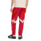 adidas FC Bayern 2024-2025 Fanswear Long pants