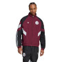 Ajax Fanswear 2024-2025-Maroon