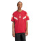 adidas FC Bayern-fanskleding 2024-2025 Shirt