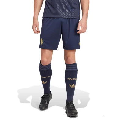 Juventus 2024-2025 Third Kit Shorts