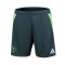 adidas Argelia 2024 Africa Cup of Nations Away Kit Shorts