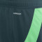 adidas Argelia 2024 Africa Cup of Nations Away Kit Shorts