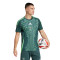 adidas Algeria Africa Cup 2024 Away Jersey