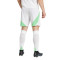 adidas Algeria Africa Cup 2024 Home Shorts