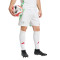 adidas Algeria Africa Cup 2024 Home Shorts