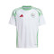 adidas Kids' Argelia Africa Cup 2024 Home Jersey