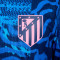 Nike Atletico de Madrid Authentisches Trikot 2024-2025 Trikot