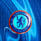 Nike Chelsea FC 2024-2025 Authentiek Thuis Shirt