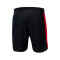 Nike FC Barcelona Authentic 2024-2025 Away Shorts