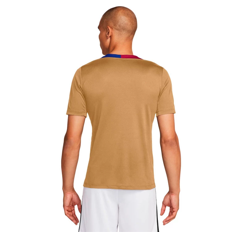 camiseta-nike-fc-barcelona-training-2024-2025-club-gold-noble-red-deep-royal-blue-black-1