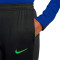 Pantalón largo Nike FC Barcelona Training 2024-2025 Mujer