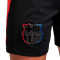 Nike Kinderen FC Barcelona 2024-2025 Uit Shorts