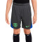 Nike FC Barcelona Training 2024-2025 Niño Shorts