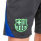 Nike Kids FC Barcelona 2024-2025 Training Shorts