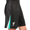 Nike Liverpool FC 2024-2025 Uittenue Shorts