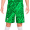 Nike Liverpool FC Doelman 2024-2025 Derde Shorts