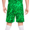 Nike Liverpool FC Goalkeeper 2024-2025 Third Shorts