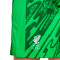 Nike Liverpool FC Goalkeeper 2024-2025 Third Shorts