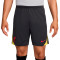 Nike Liverpool FC 2024-2025 Training Shorts