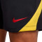 Nike Liverpool FC 2024-2025 Training Shorts