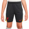 Nike Kinderen Liverpool FC 2024-2025 Training Shorts