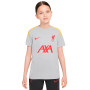 Kinderen Liverpool FC 2024-2025 Training-Lt Smoke Grey-Lt Smoke Grey-Chrome Yellow