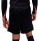 Nike PSG 2024-2025 Training Shorts