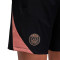 Nike PSG 2024-2025 Training Shorts